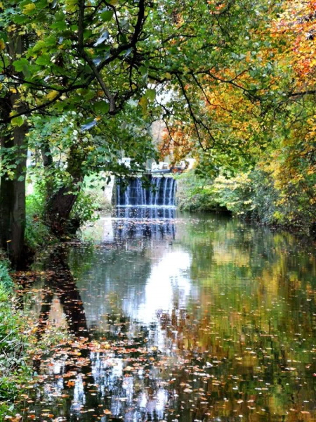 Tudor Caravan Park - Reflective Waterway by Caryn Winker